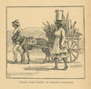 Sugar cane going to market - Barbados 1889 old antique vintage print picture