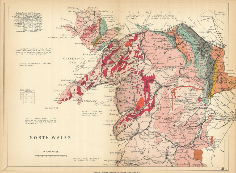 NORTH WALES Geological map. STANFORD 1904 old antique vintage plan chart