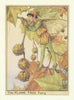 Plane Tree Fairy by Cicely Mary Barker. Flower Fairies of the Trees c1940