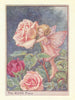 Rose Fairy by Cicely Mary Barker. Flower Fairies of the Garden c1940 old print