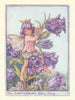 Canterbury Bell Fairy by Cicely Mary Barker. Flower Fairies of the Garden c1940