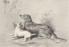 DOGS. Safe!-Landseer c1880 old antique vintage print picture