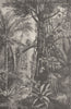 AMAZONIA. Scene in a Brazilian Forest. Brazil 1893 old antique print picture