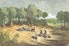 SPAIN. Orange-trees at Carcagente 1881 old antique vintage print picture