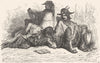SPAIN. Students de La Tuna 1881 old antique vintage print picture