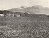 SOUTH AFRICA. The Paarl Rock and Vineyards 1899 old antique print picture