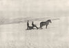 NORWAY. Folgefonna- Sleighing over the Folgefonna Glacier 1895 old print