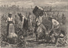 SOUTHERN USA. Scene on a Cotton Plantation 1882 old antique print picture