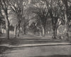 The Elms, New Haven, Connecticut 1895 old antique vintage print picture