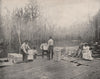 Loading oranges on the Ocklawaha River, Florida 1895 old antique print picture