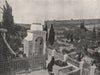 JERUSALEM. The Garden of Gethsemane. Jerusalem 1895 old antique print picture
