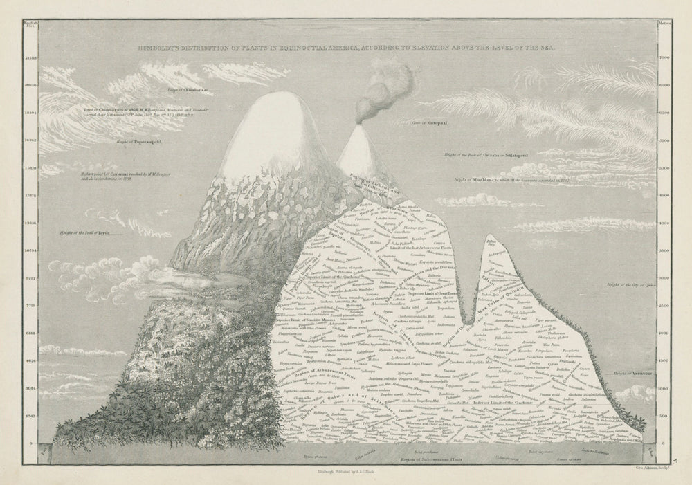 Humboldt's plant distribution in Equinoctial America. SIDNEY HALL 1856 map