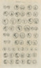Roman Coins. Antique print by Francis CARY 1789 old picture