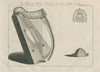 Trinity College harp. Brien Boromh Brian Boru. The Irish Crown 1789 old print