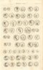 Roman Coins. Antique print by Francis CARY 1806 old picture