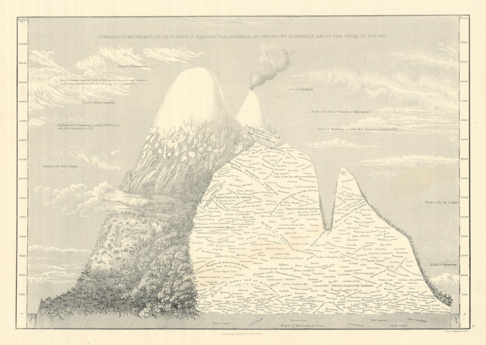 Humboldt's plant distribution in Equinoctial America. SIDNEY HALL 1854 map