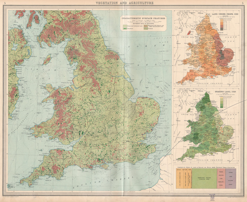 ENGLAND WALES. Vegetation Agriculture cultivated land crops. LARGE 1939 map