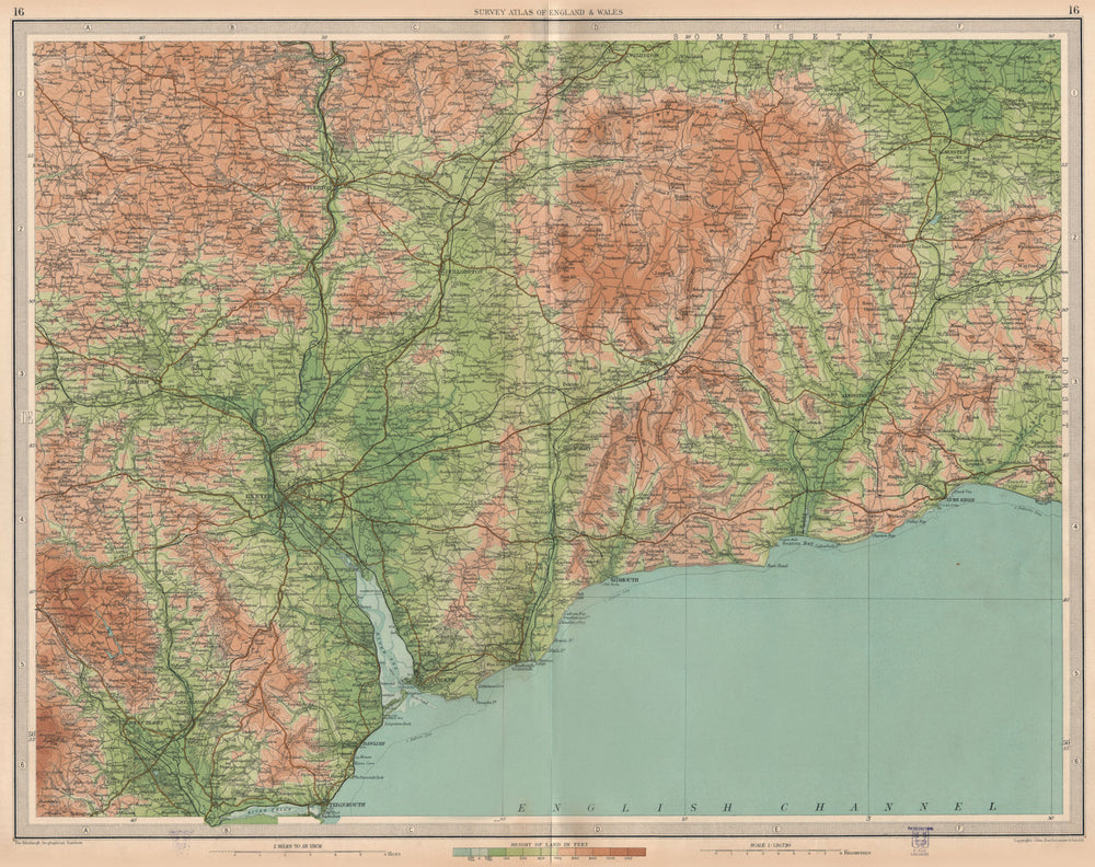 SOUTH DEVON. Exeter Honiton Tiverton Blackdown Hills Lyme Regis. LARGE 1939 map