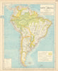 SOUTH AMERICA. Amazon rainforest. Pampas. Telegraph cables. LETTS 1892 old map