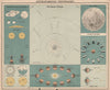 ASTRONOMY Planets Eclipses Moon Lunar phases Seasons Ocean Tides. LETTS 1889 map