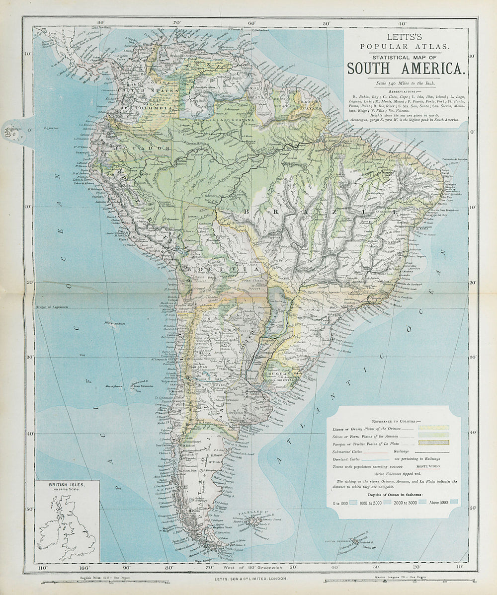 SOUTH AMERICA. Amazon rainforest. Pampas Selvas Llanos. LETTS 1883 old map