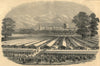 Royal Agricultural Society's meeting at Windsor. Home Park. Castle 1851 print