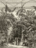 Kew Gardens. Centre of the Great Palm House at the Royal Botanic Gardens 1852
