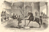 The American horse 