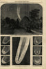 Donati's Comet, from the Cambridge Observatory October 11. Astronomy 1858