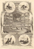 The educated mules at the Alhambra Palace. London. Performing Arts 1858 print