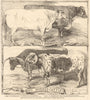 Prize cattle, Royal Agricultural Society's show at Warwick. Warwickshire 1859