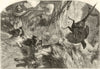 Pheasant Shooting, Right & Left. Hunting 1859 old antique print picture
