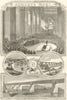 Robert Stephenson funeral Westminster Abbey Britannia High Level bridge 1859