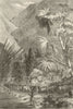 Cattle on their way to Tamatave, Madagascar 1864 old antique print picture