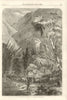 Cattle on their way to Tamatave, Madagascar 1864 old antique print picture