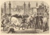 Foreign cattle inspection, Metropolitan Cattle Market, Caledonian Road 1865