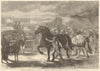 Suffolk cart horses, Royal Agricultural Society fair, Bury St. Edmunds 1867