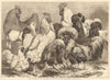 Prize poultry at the Birmingham & Midland Counties Agricultural Show 1868
