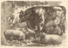 The Smithfield Club cattle show: prize cattle & sheep I 1868 old antique print