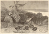 Hen pheasant & young. Birds. Birds 1869 old antique vintage print picture