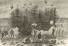 A Sandringham Bouquet. Norfolk. Shooting 1870 old antique print picture