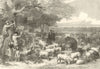 The Defence of Paris: cattle & sheep. Bois de Boulogne. Franco-Prussian War 1870