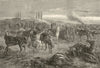 Riderless horses answer Regimental call after battle. Franco-Prussian War 1870
