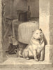 Low Life, by Sir Edwin Landseer. Dogs 1874 old antique vintage print picture