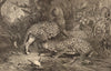 In the Enemy's Country, by GB Goddard. Leopards hunting monkeys 1874 old print