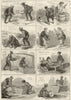 Japanese Tea Cultivation. Sowing seed plant picking leaves Sifting Rubbing 1874