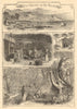 Riviera olive harvest Villefranche Bordighera coast Monaco. Alpes-Maritimes 1874