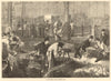 Poultry market, Halles Centrales, Paris 1874 old antique vintage print picture