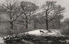 Reynard's holiday. Landscapes. Foxes 1875 old antique vintage print picture