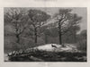 Reynard's holiday. Landscapes. Foxes 1875 old antique vintage print picture